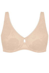  Soft model 229497 Triumph 