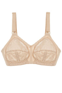  Soft model 229866 Triumph 