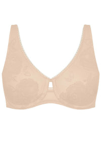  Soft model 229985 Triumph 