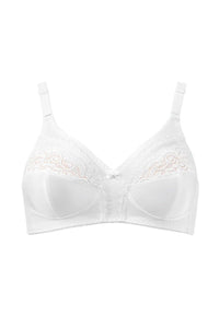  Soft model 229987 Triumph 