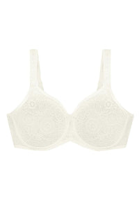  Soft model 229989 Triumph 