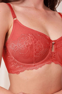  Soft model 230230 Triumph 