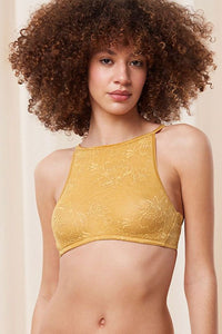  Soft model 230245 Triumph 