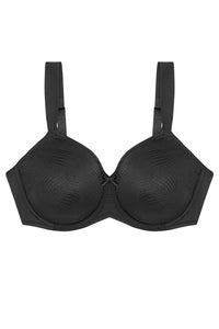  Soft model 230706 Triumph 