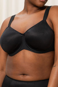  Soft model 230706 Triumph 