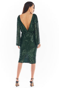 Evening dress model 150756