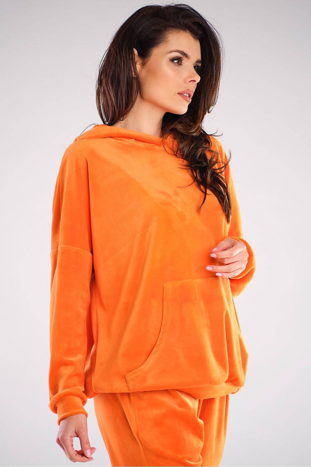 Sweatshirt model 154786