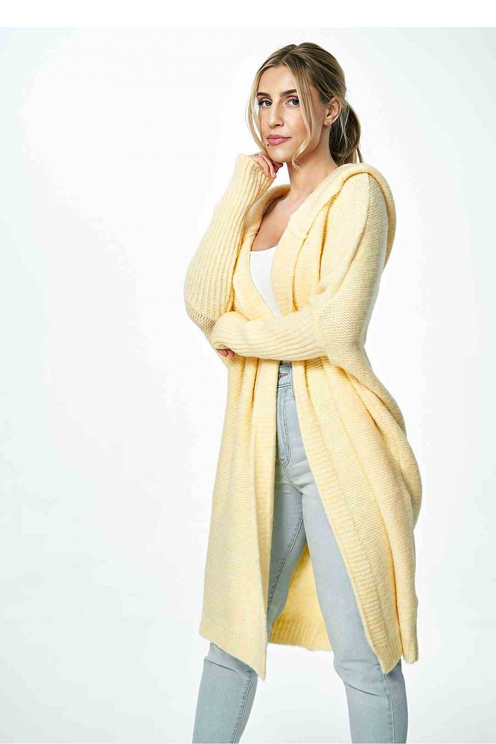 Cardigan model 172093