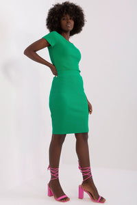 Skirt model 183525