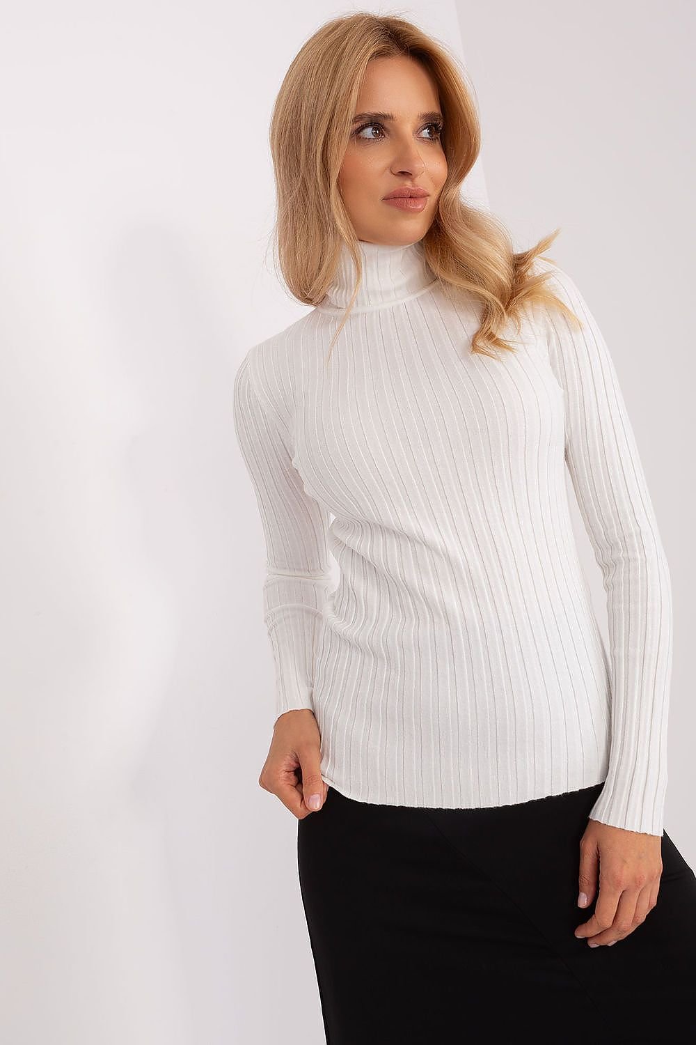 Turtleneck model 185553