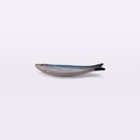 Ceramic Sardine Fridge Magnet