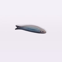 Ceramic Sardine Fridge Magnet