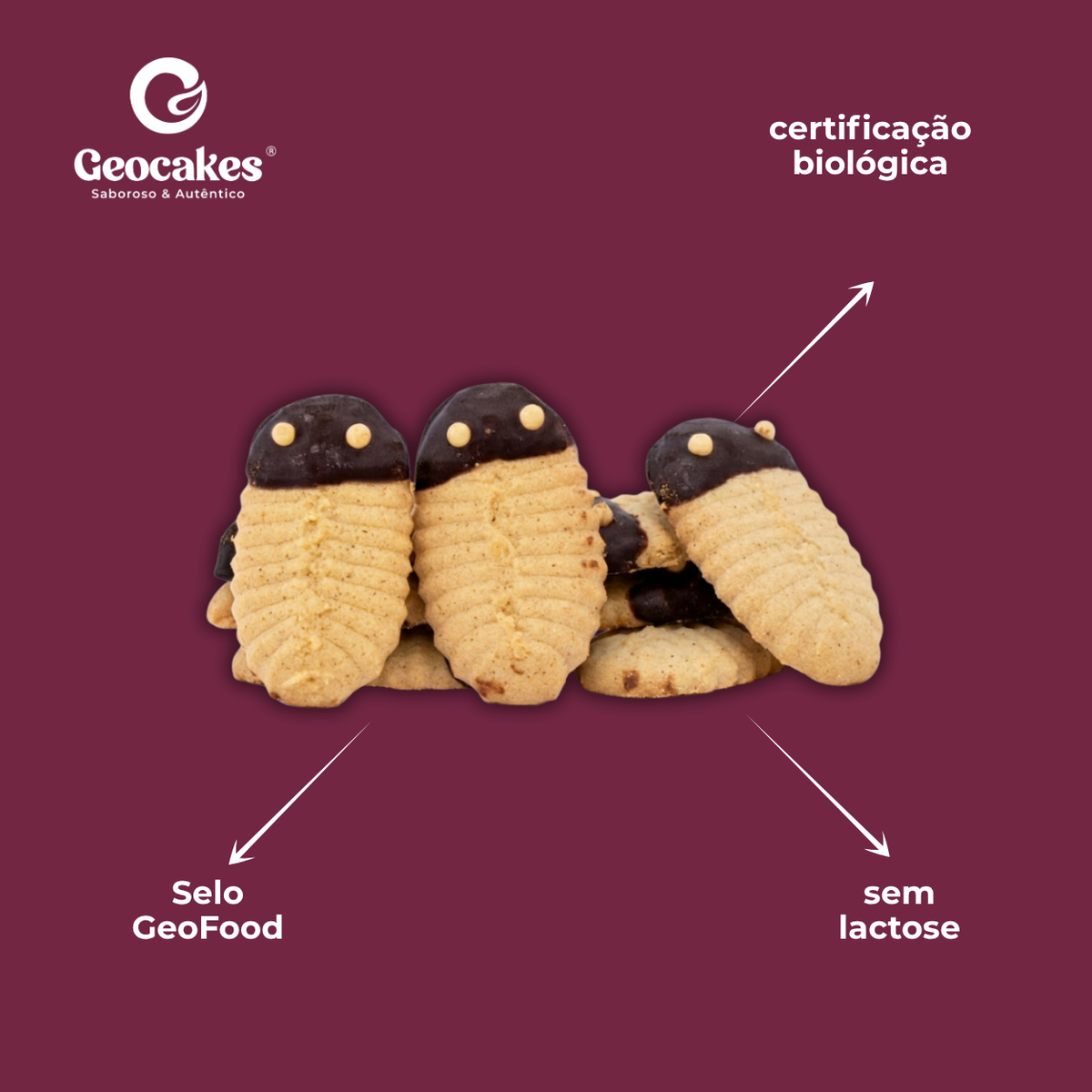 Trilobites Biológicas - Biscoitos Geológicos Artesanais 190g