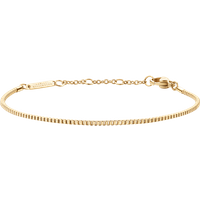 Daniel Wellington DW Staple Box 155-185 mm Gold