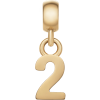 Daniel Wellington DW Charm Number 2 Gold