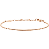 Daniel Wellington DW Staple Box 155-185 mm Rose Gold