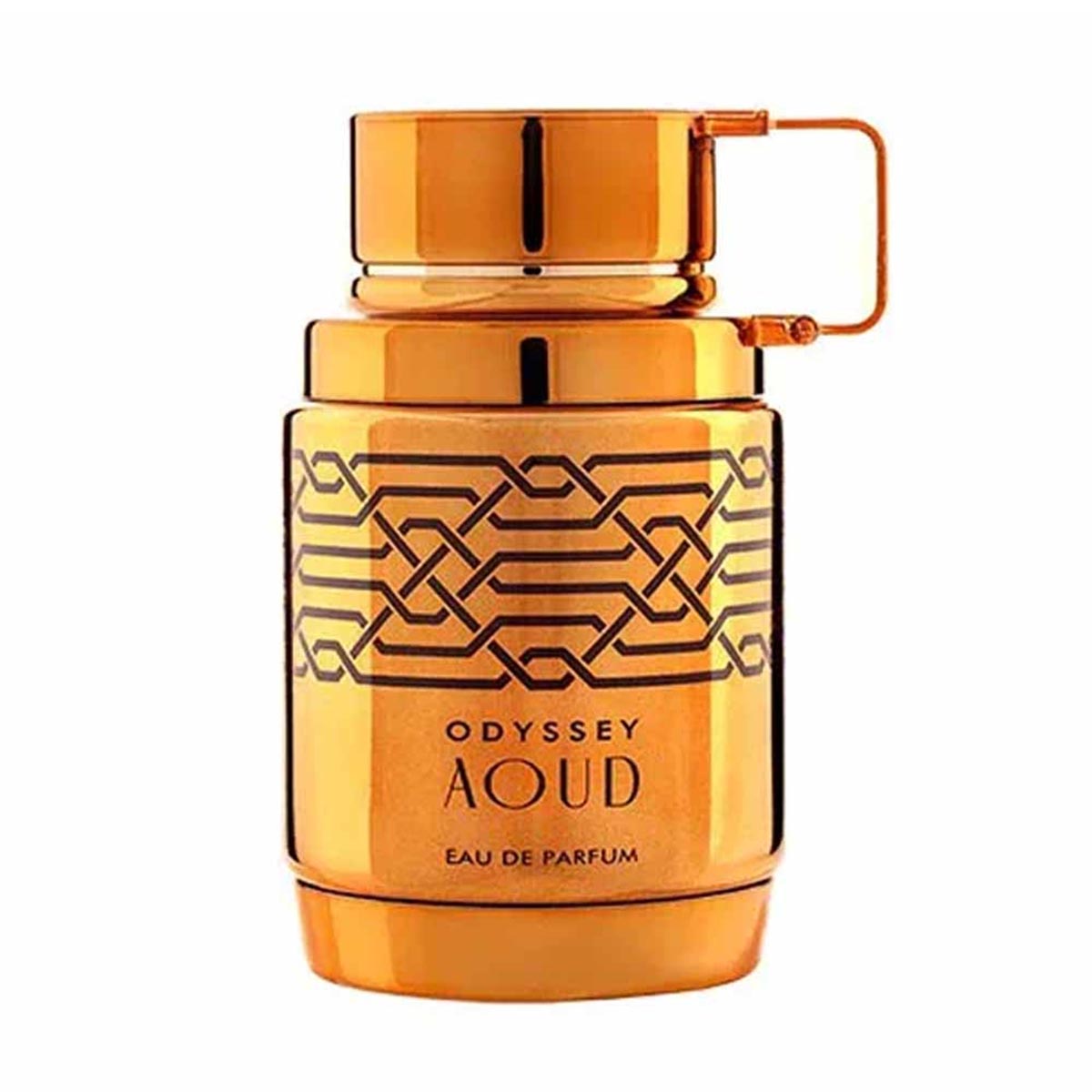 armaf odyssey aoud eau de parfum 100 ml